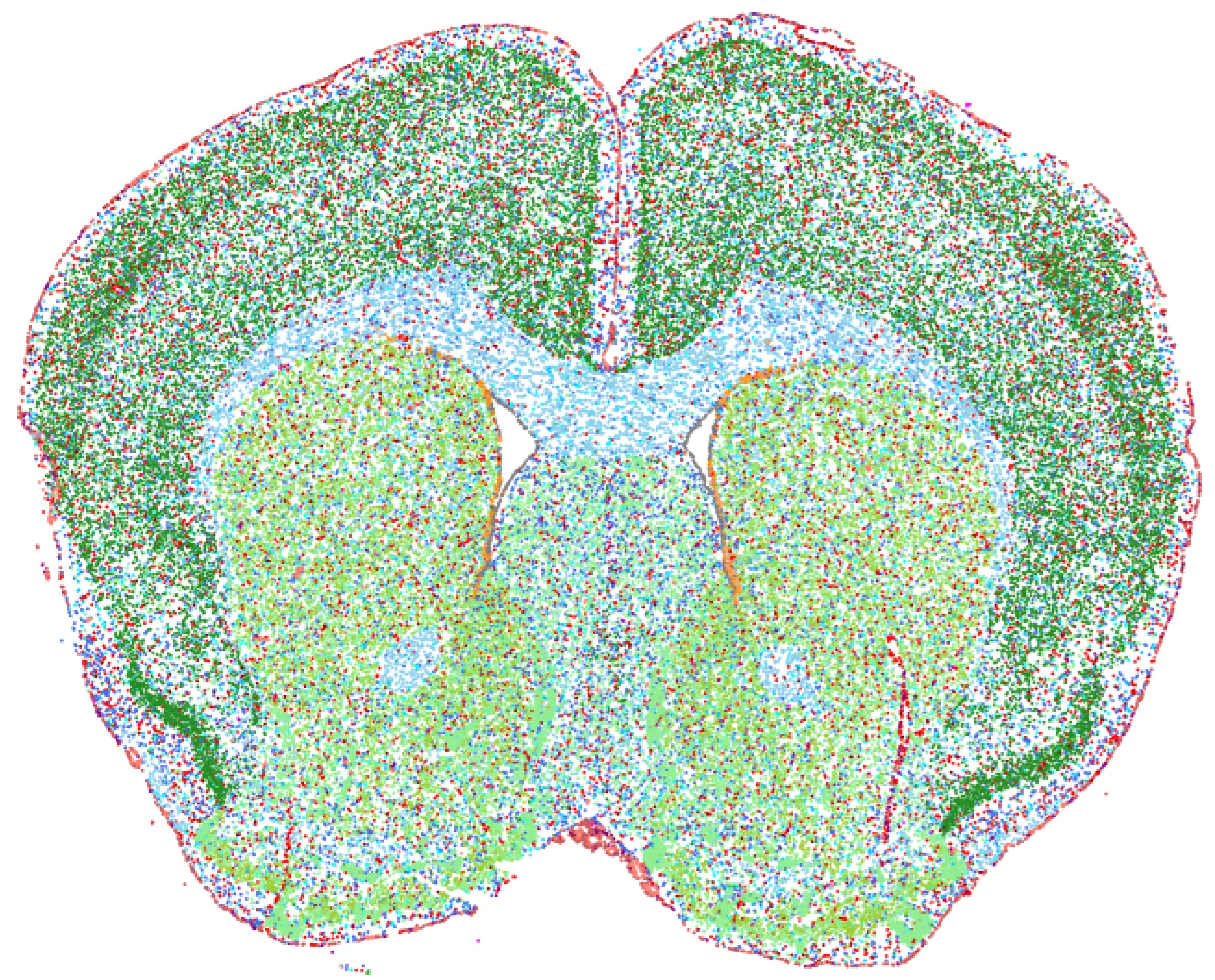 Spatial Aging Datasets